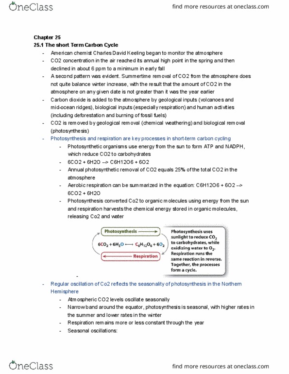 LIFESCI 1 Chapter Notes - Chapter 25: Carbon Cycle, Northern Hemisphere, Hans Suess thumbnail