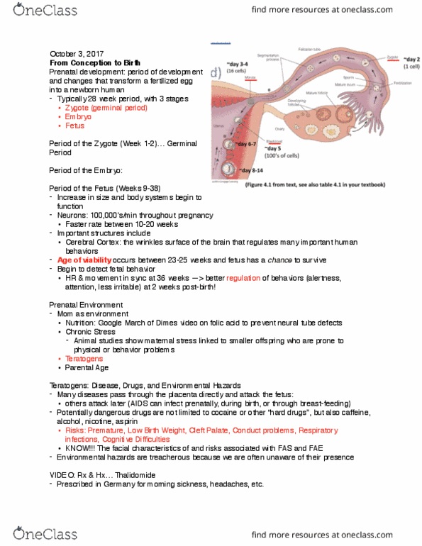 PSY 220 Lecture Notes - Lecture 12: Neural Tube Defect, Cleft Lip And Cleft Palate, Nuclear Fallout thumbnail