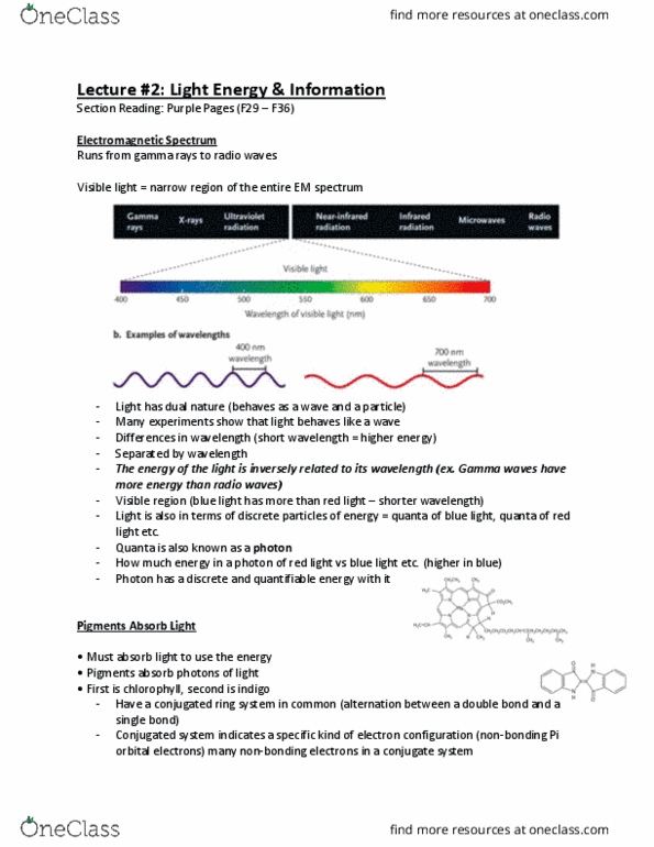 Biology 1002B Lecture Notes - Lecture 2: Emission Spectrum, Electromagnetic Spectrum, Pi Bond thumbnail