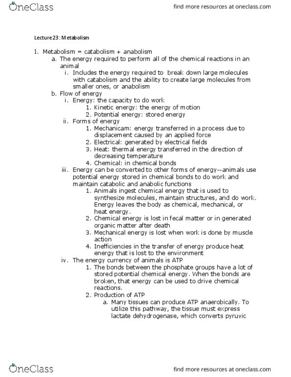 BISC 320 Lecture Notes - Lecture 23: Naked Mole-Rat, Basal Metabolic Rate, Anaerobic Glycolysis thumbnail