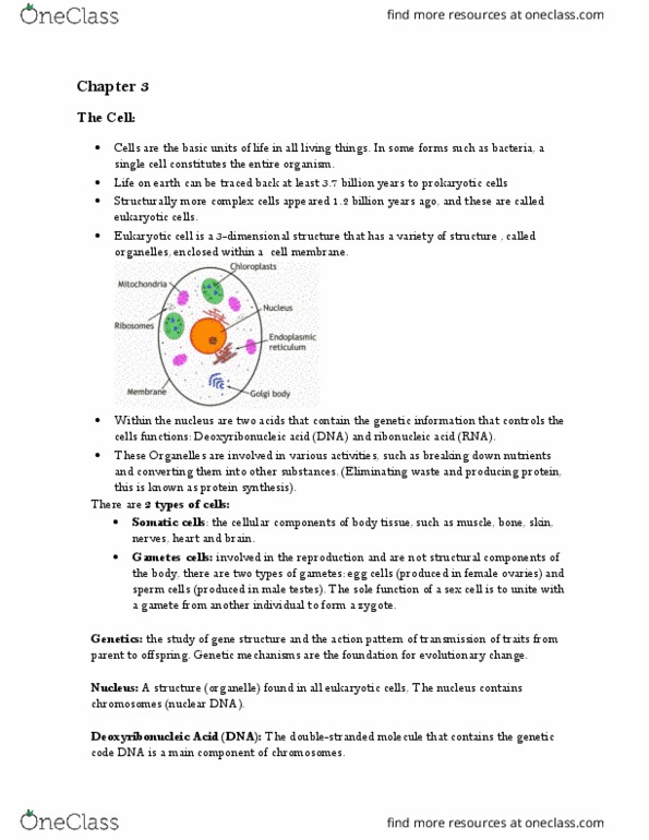 ANTA01H3 Chapter Notes - Chapter 3: Dna Replication, Cell Nucleus, Nuclear Dna thumbnail