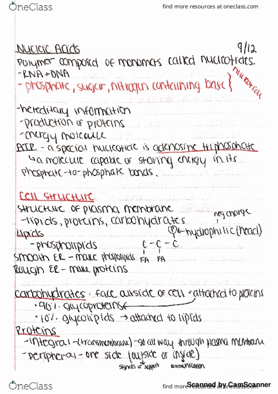 BIO 161 Lecture 4: 4 thumbnail