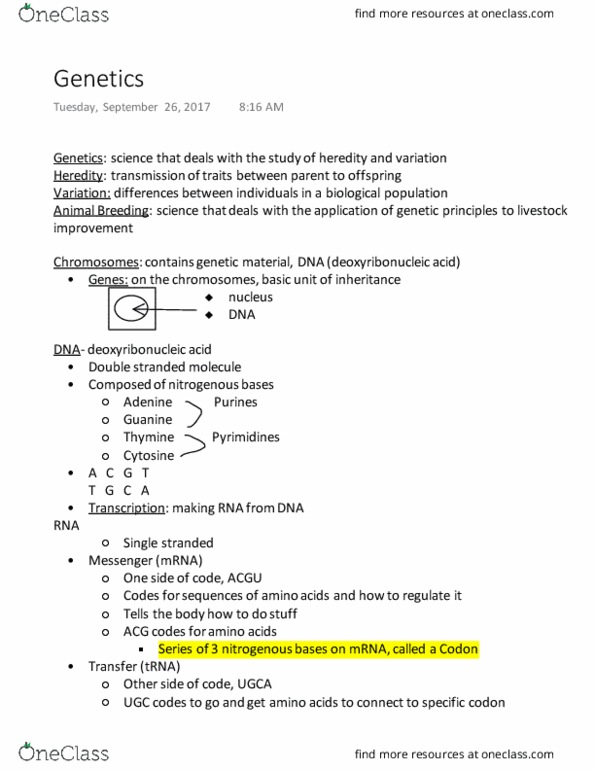 AVS-1500 Lecture Notes - Lecture 2: Punnett Square, Transfer Rna, Genetic Code thumbnail