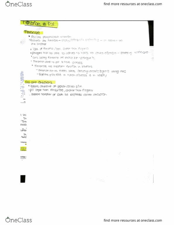 document preview image