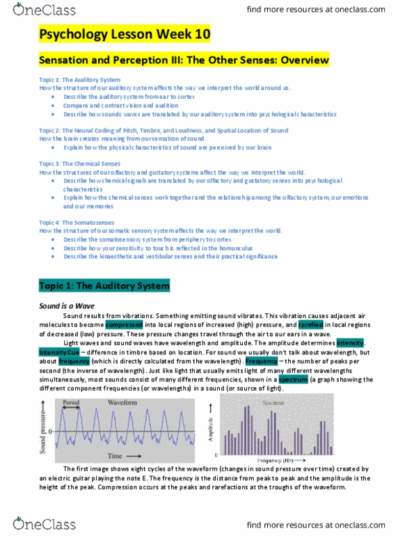 PSYC 100 Lecture Notes - Lecture 10: Basilar Membrane, Cochlear Implant, Auditory Cortex thumbnail