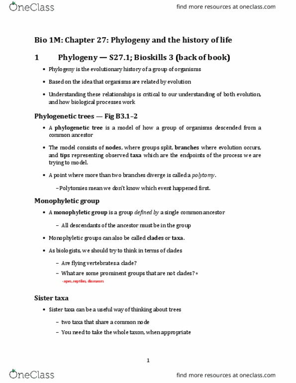 BIOLOGY 1M03 Lecture Notes - Lecture 4: Phylogenetic Tree, Phenetics, Even-Toed Ungulate thumbnail