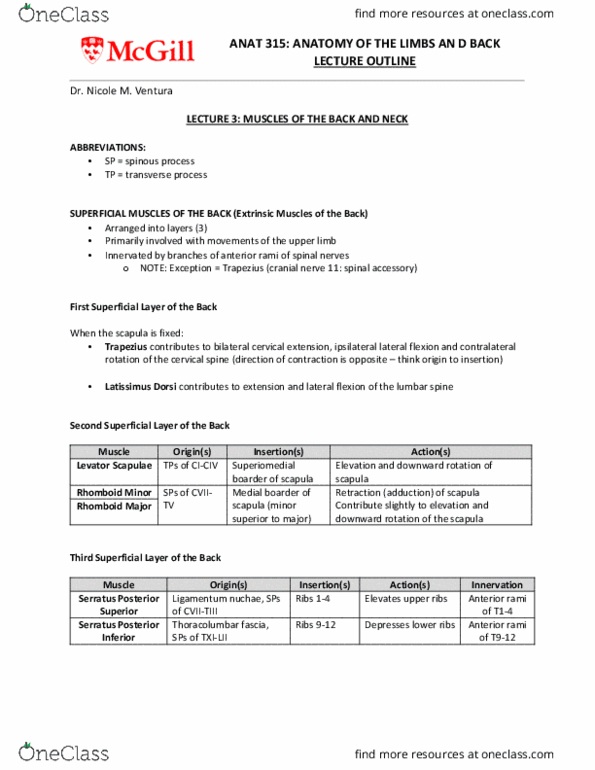 ANAT 315 Chapter Notes - Chapter 3: Latissimus Dorsi Muscle, Rhomboid Major Muscle, Thoracolumbar Fascia thumbnail