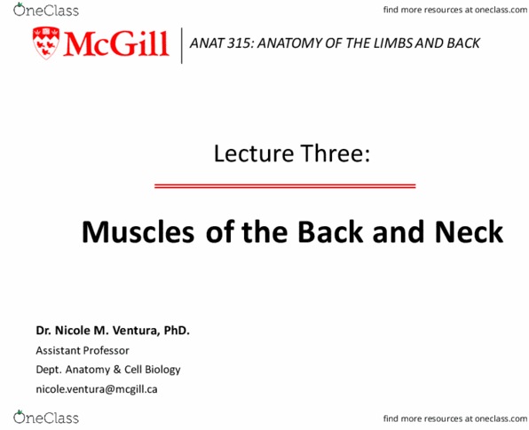 ANAT 315 Lecture Notes - Lecture 3: Lippincott Williams & Wilkins, Latissimus Dorsi Muscle, Thoracolumbar Fascia thumbnail