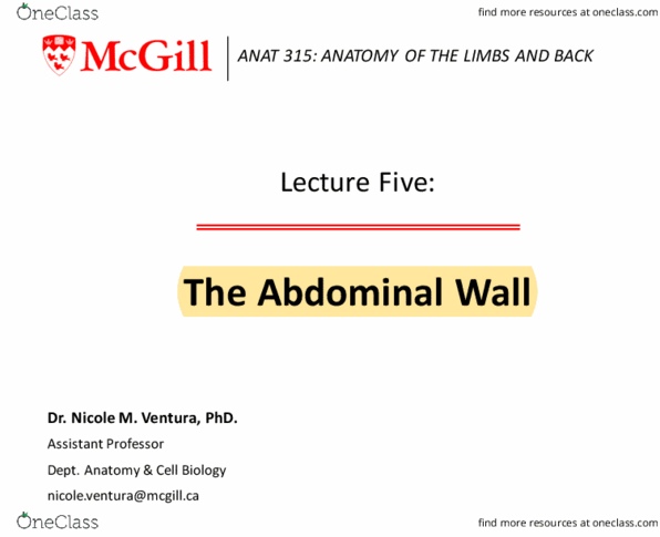 ANAT 315 Lecture Notes - Lecture 5: Lippincott Williams & Wilkins, Rectus Sheath, Abdominal Wall thumbnail