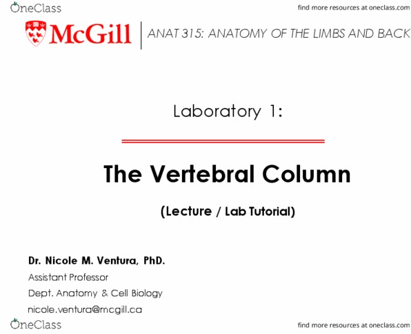 ANAT 315 Chapter Notes - Chapter 1: Facet Joint, Vertebra, Uncinate Processes Of Ribs thumbnail