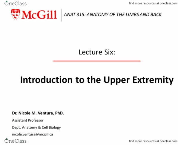 ANAT 315 Lecture Notes - Lecture 6: Lippincott Williams & Wilkins, Shoulder Girdle, Shoulder Joint thumbnail