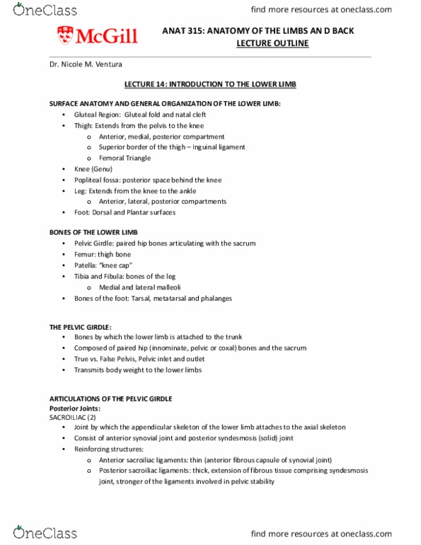 ANAT 315 Lecture Notes - Lecture 14: Anterior Inferior Iliac Spine, Anterior Superior Iliac Spine, Inferior Pubic Ramus thumbnail