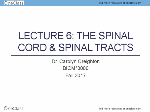 BIOM 3000 Lecture Notes - Lecture 6: Conus Medullaris, Dorsal Root Ganglion, Lower Motor Neuron thumbnail