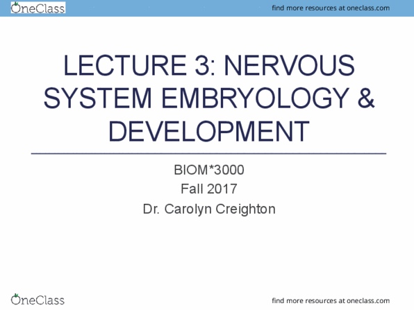 BIOM 3000 Lecture 3: Lecture 3 -NS Development thumbnail