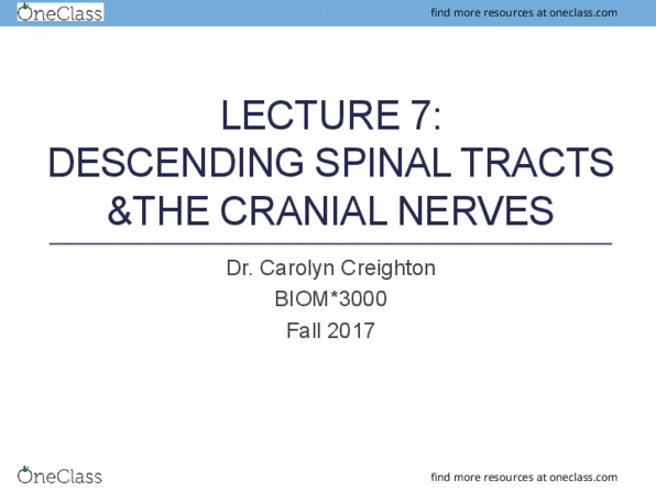 BIOM 3000 Lecture 7: Lecture 7 -Descending tracts & cranial nerves I thumbnail