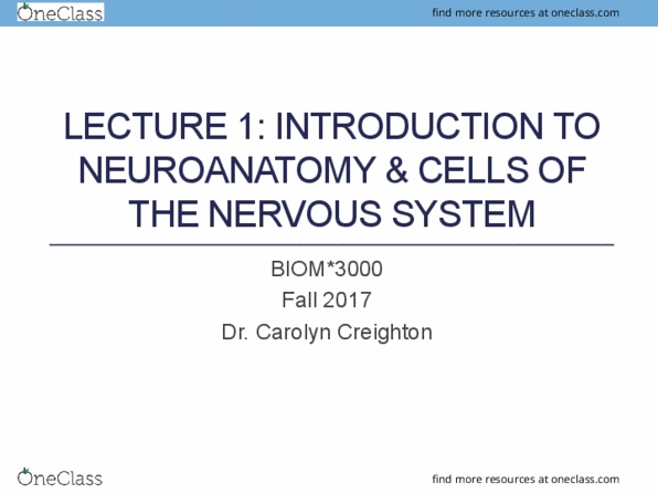 BIOM 3000 Lecture Notes - Lecture 1: Dorsal Root Ganglion, Brachial Plexus, Peripheral Nervous System thumbnail