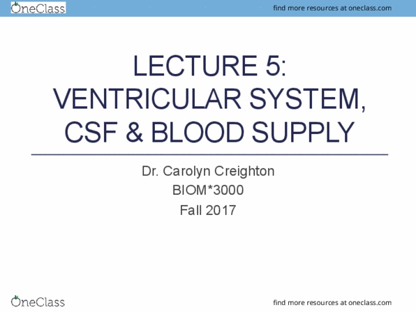 BIOM 3000 Lecture Notes - Lecture 5: Anterior Choroidal Artery, Anterior Communicating Artery, Anterior Cerebral Artery thumbnail