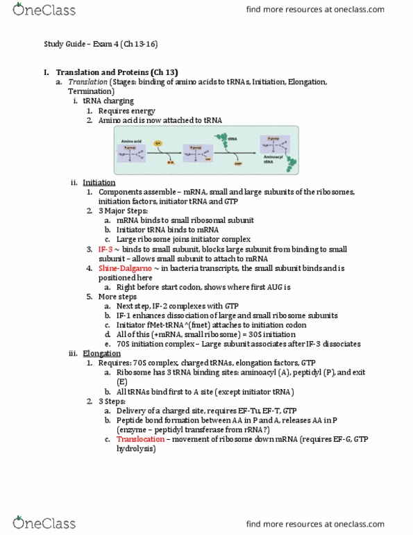 GEN-3000 Lecture Notes - Lecture 4: Start Codon, Transfer Rna, Alpha Helix thumbnail