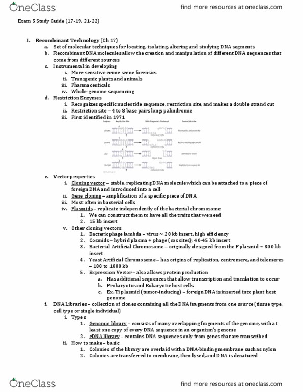 GEN-3000 Lecture Notes - Lecture 5: Single-Nucleotide Polymorphism, Restriction Fragment Length Polymorphism, Whole Genome Sequencing thumbnail