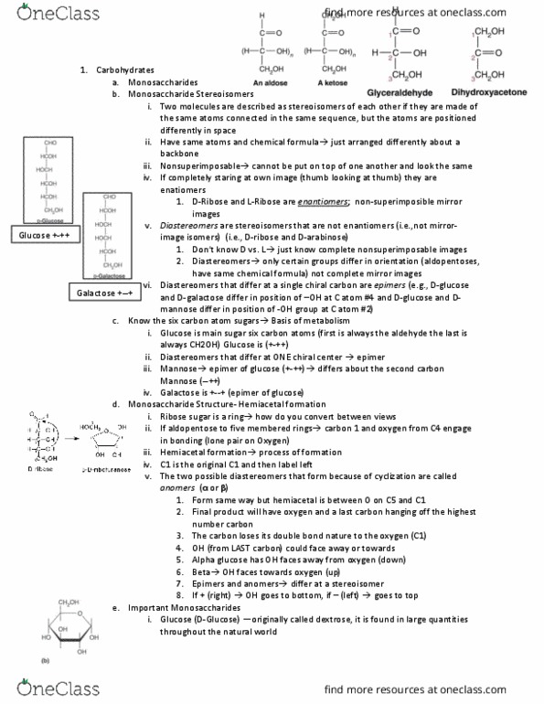 BCHM-3050 Lecture Notes - Lecture 4: Triosephosphate Isomerase, Phosphoglycerate Kinase, Glycosidic Bond thumbnail
