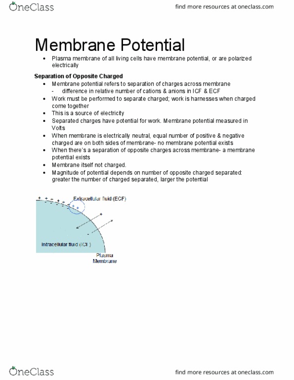 KINE 2011 Chapter Notes - Chapter 3.6: Membrane Potential, Cell Membrane thumbnail