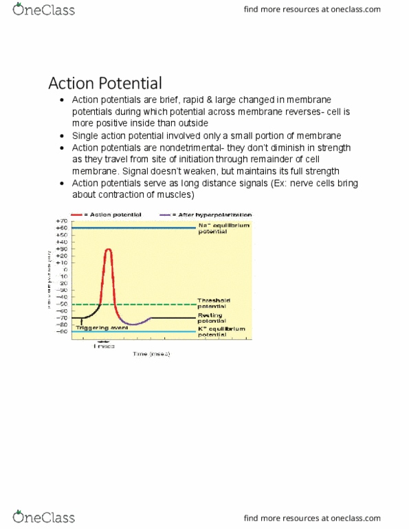 KINE 2011 Chapter Notes - Chapter 4.1: Threshold Potential, Resting Potential, University Of Manchester thumbnail