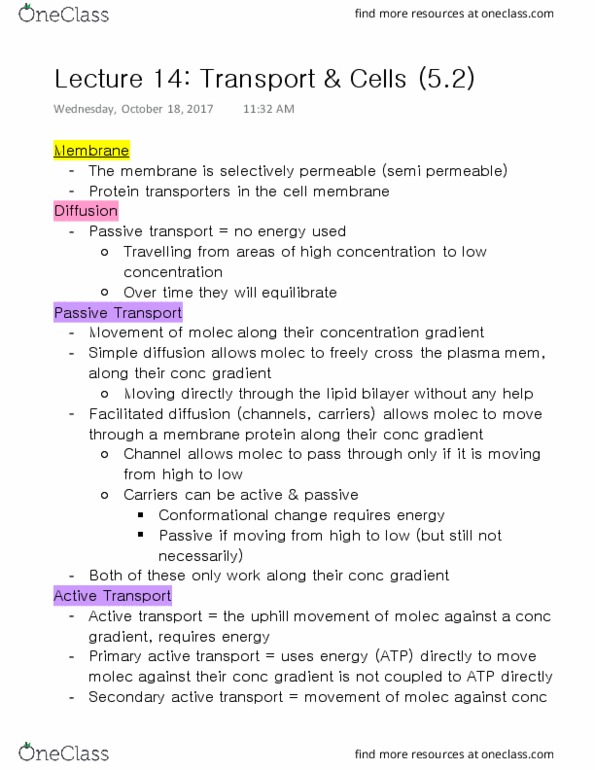 BI110 Lecture Notes - Lecture 14: Electrochemical Gradient, Passive Transport, Antiporter thumbnail