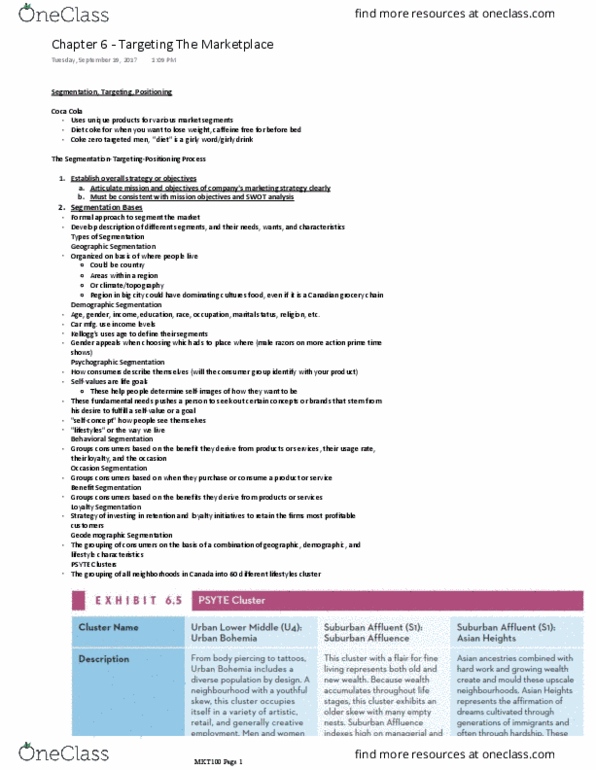 MKT 100 Chapter Notes - Chapter 6: Swot Analysis, Psychographic, Caffeine thumbnail