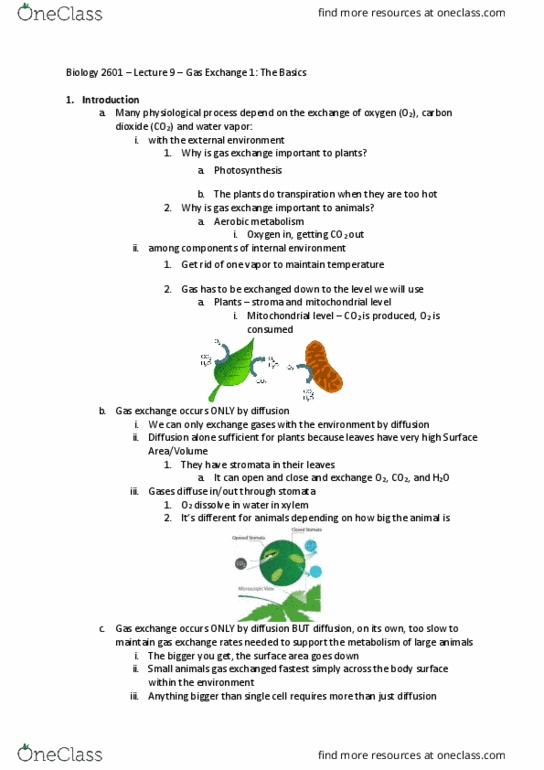 Biology 2601A/B Lecture 9: Gas Exchange 1: The Basics thumbnail