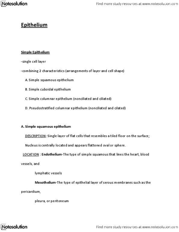 BIOL 1215 Lecture Notes - Simple Columnar Epithelium, Simple Squamous Epithelium, Serous Membrane thumbnail