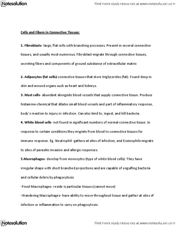 BIOL 1215 Lecture Notes - Ground Substance, B Cell, Small Cell thumbnail