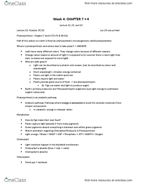 BIOA01H3 Lecture Notes - Lecture 22: Photon, P680, Activation Energy thumbnail