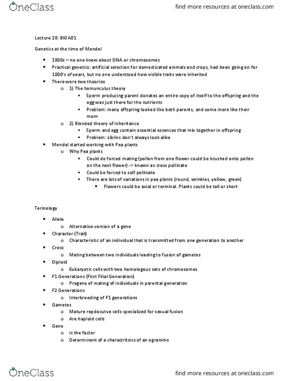 BIOA01H3 Lecture Notes - Lecture 28: Albinism, Design Of Experiments, Selective Breeding thumbnail