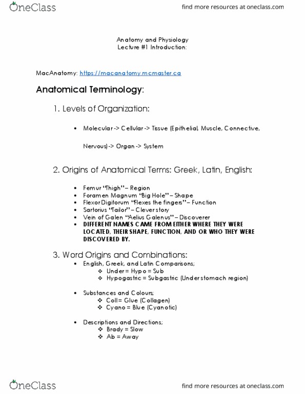 HTHSCI 1H06 Lecture Notes - Lecture 1: Femur, Foramen, Collagen thumbnail