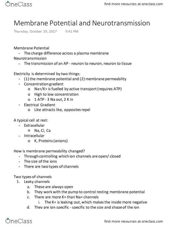 KINESIOL 2Y03 Lecture Notes - Lecture 20: Neurotransmission, Active Transport, Resting Potential thumbnail