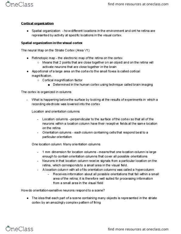 PSYC 2220 Chapter Notes - Chapter 4: Visual Cortex, Retina, Map thumbnail