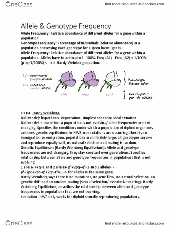BIOL 2905 Chapter Notes - Chapter 6.4: Null Model, Allele Frequency, Pleiotropy thumbnail