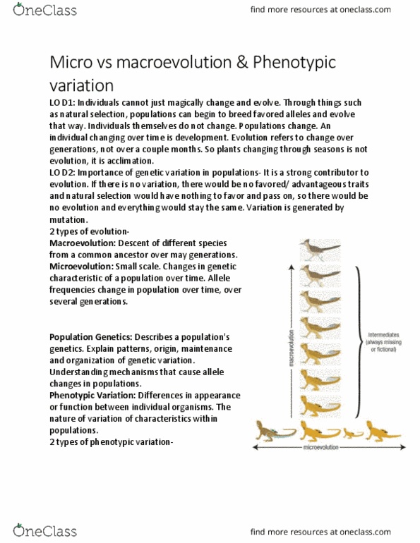 BIOL 2905 Chapter Notes - Chapter 6.5: Microevolution, Macroevolution, Population Genetics thumbnail