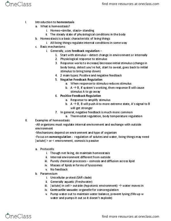 01:119:116 Lecture Notes - Lecture 11: Body Plan, Hierarchical Organization, Cuticle thumbnail