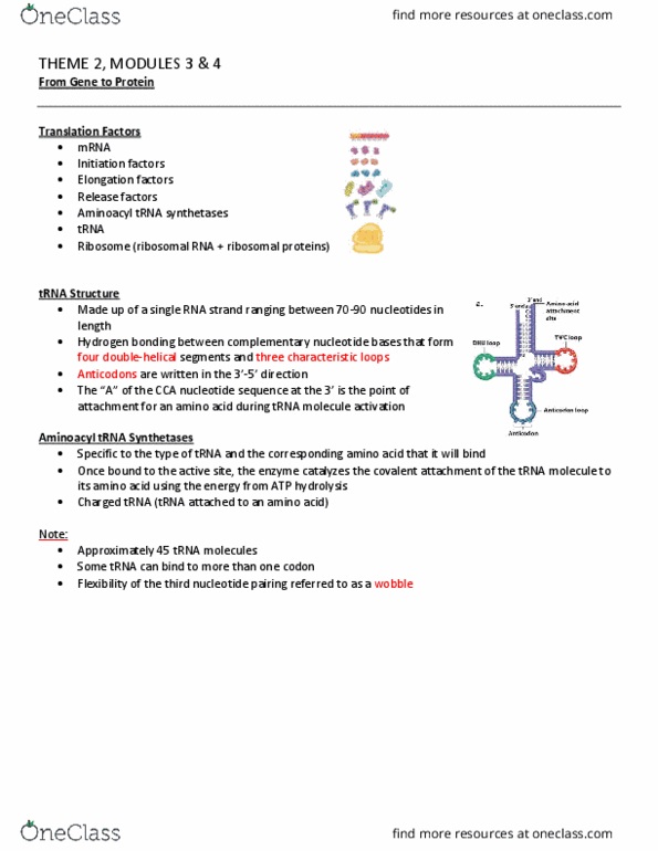 HIS108 Lecture Notes - Lecture 4: Methionine, Hydrogen Bond, Eukaryote thumbnail
