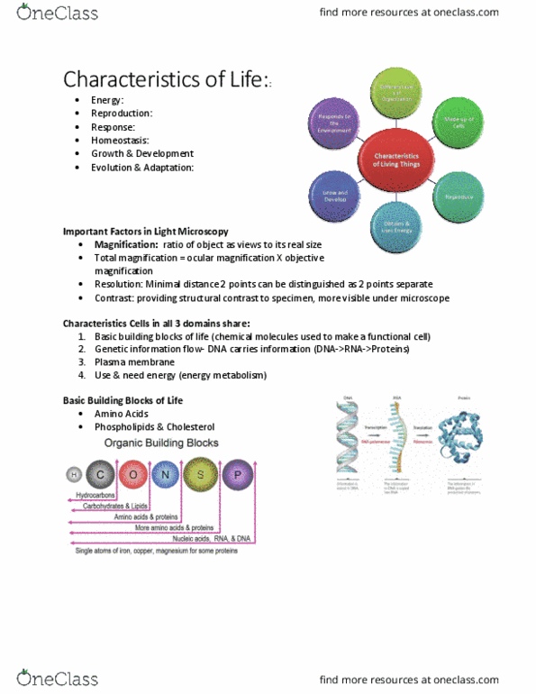 BIOL 2905 Chapter Notes - Chapter 4.1: Amylose, Chitin, Ionic Bonding thumbnail