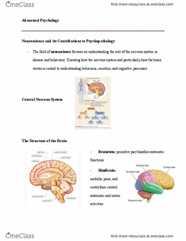 PSYC 2030U Lecture Notes - Lecture 3: Brainstem, Personal Distress, Cortisol thumbnail