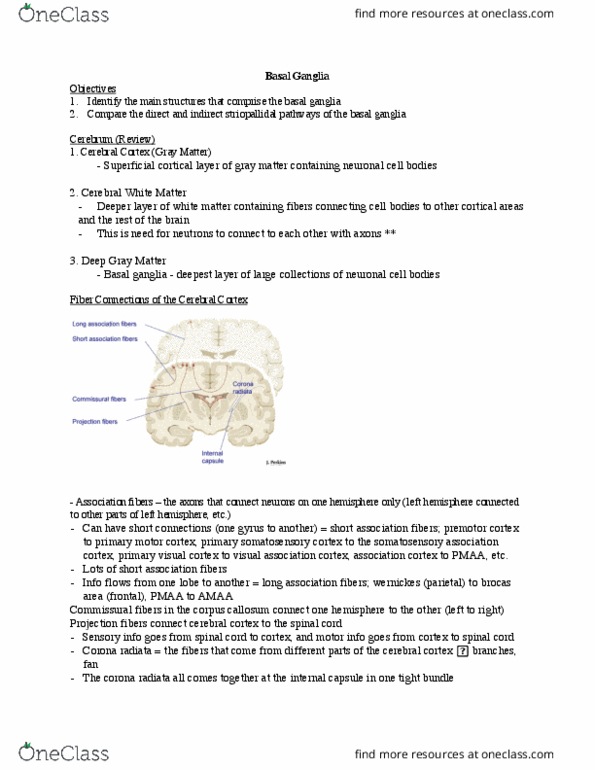 Anatomy and Cell Biology 3319 Lecture 5: 5 Basal Ganglia thumbnail