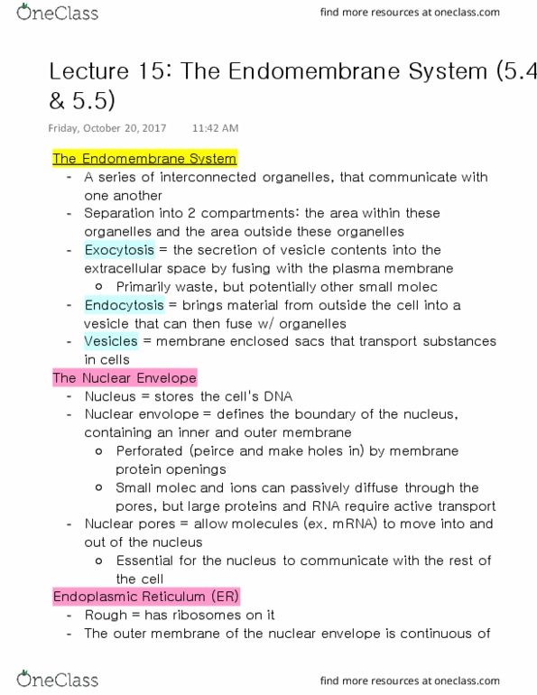 BI110 Lecture Notes - Lecture 15: Exocytosis, Nuclear Membrane, Cytosol thumbnail