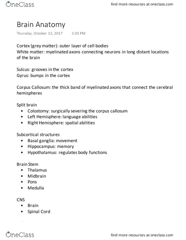 PSY 201 Lecture Notes - Lecture 3: Gyrus, Cranial Nerves, Colostomy thumbnail