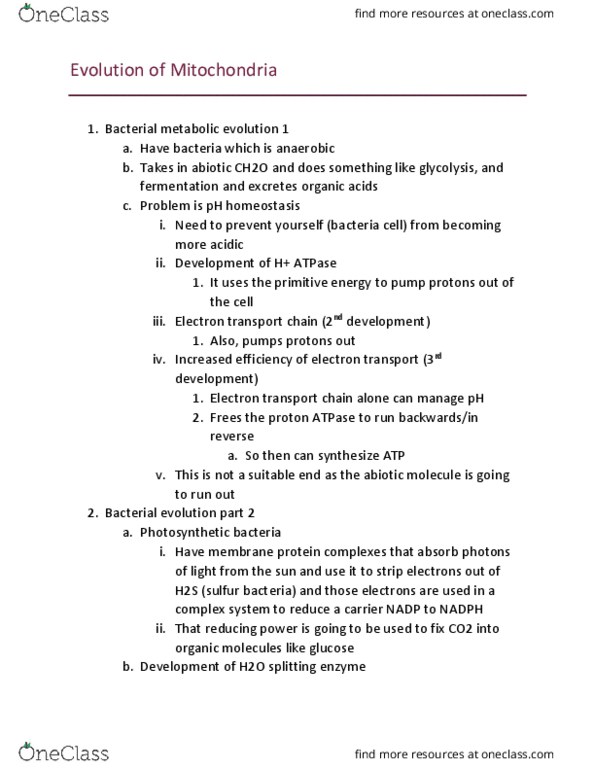 BIOL 23100 Lecture Notes - Lecture 21: Homeostasis, Rubisco, Electron Hole thumbnail