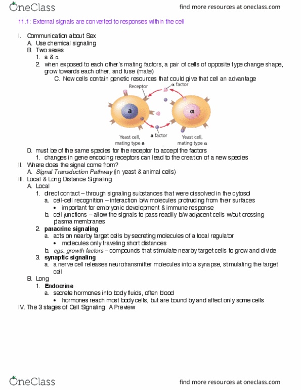 BIOL 101 Chapter Notes - Chapter 11.1-11.2: Cytosol, Adrenal Gland, Mating Of Yeast thumbnail