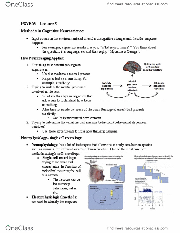PSYB65H3 Lecture Notes - Lecture 3: Brain Tumor, Transcranial Magnetic Stimulation, Neuroimaging thumbnail