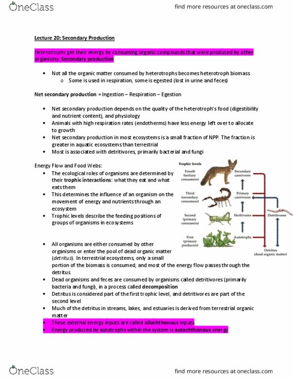 Economics 1021A/B Lecture Notes - Lecture 20: Steller Sea Lion, Autotroph, Omnivore thumbnail
