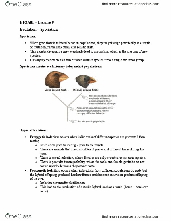 BIOA01H3 Lecture Notes - Lecture 9: Meiosis, Elephant Bird, Hybrid Zone thumbnail
